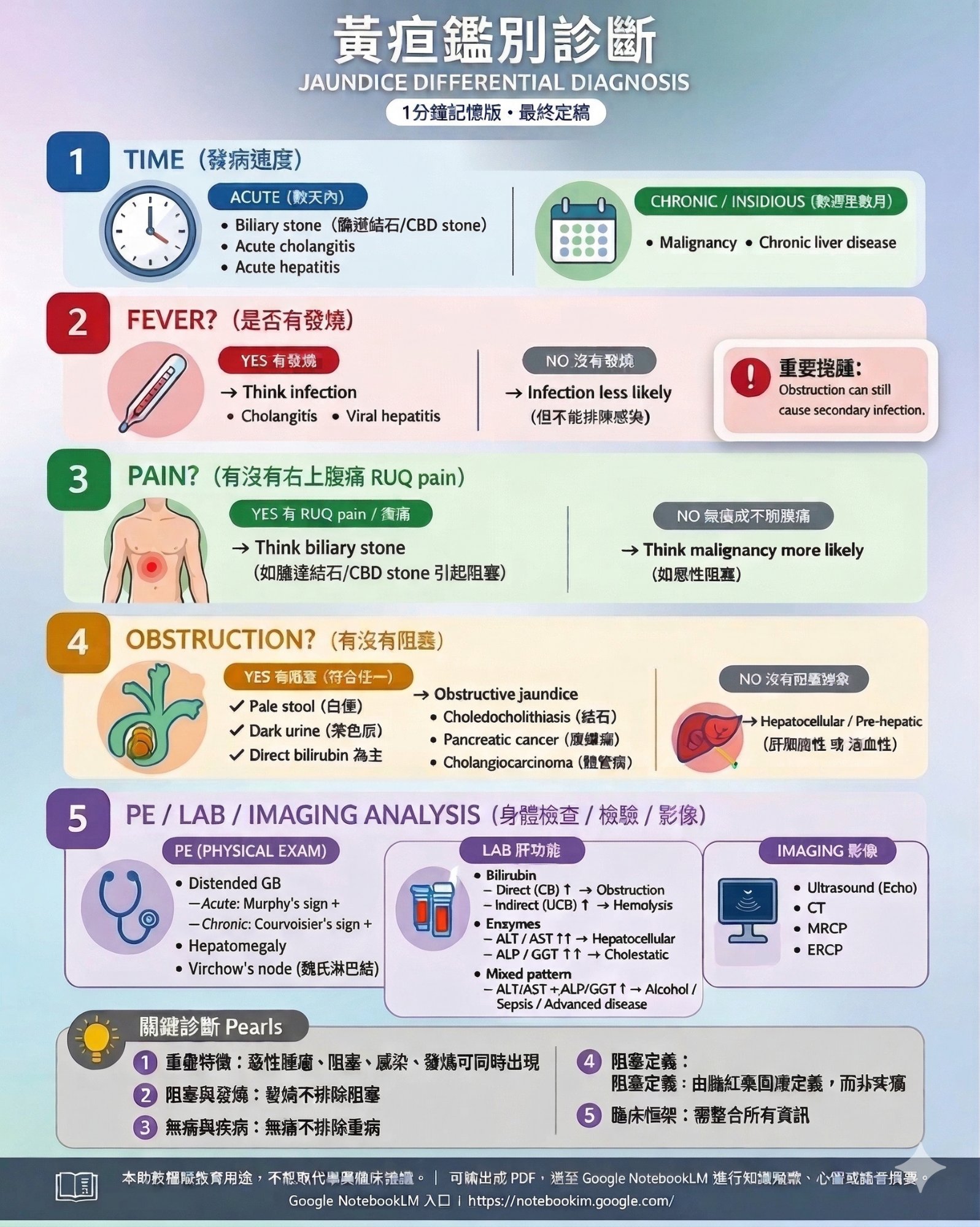 黃疸鑑別診斷流程圖